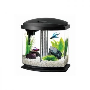 Box Aquarium